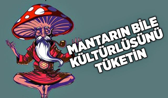 Mantarın bile kültürlüsünü tüketin