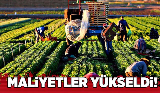 Maliyetler yükseldi!