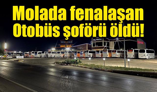 İstanbul'dan Tokat'a giden otobüsün şoförü yolda hayatını kaybetti