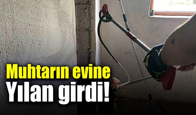 Muhtarın evine yılan girdi!