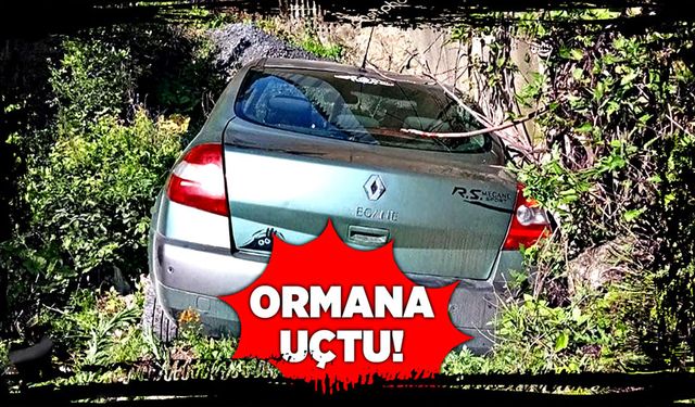 Tünel çıkışı ormana uçtu!