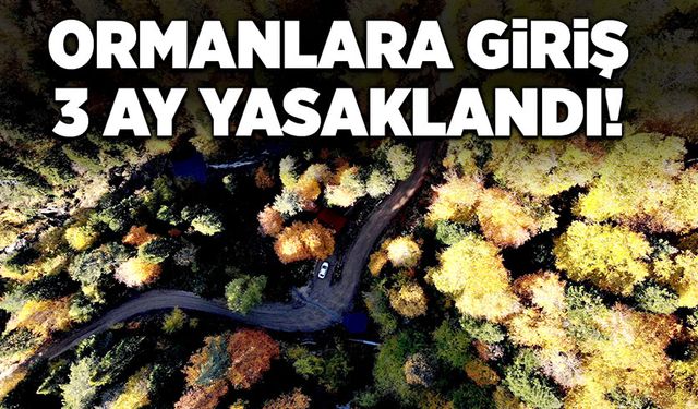 Ormanlara giriş yasaklandı!