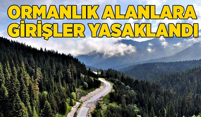 Ormanlık alanlara girişler yasaklandı