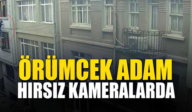 Hırsız adeta örümcek adam gibi bir binaya tırmanıp daireye girdi!