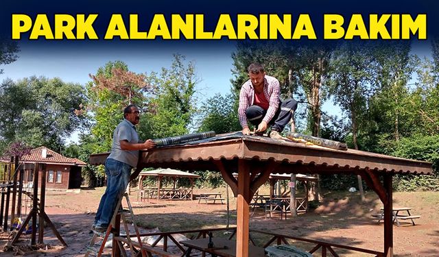 Park alanlarına bakım