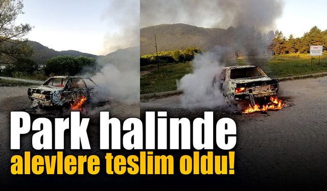 Park halindeyken alevlere teslim oldu!