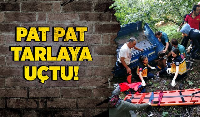 Pat pat tarlaya uçtu!