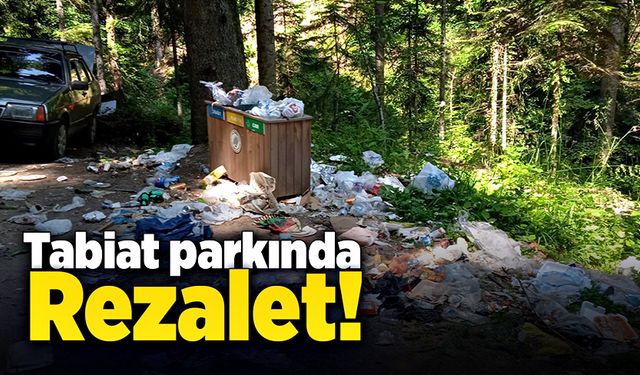 Tabiat parkının geldiği nokta pes dedirtti!