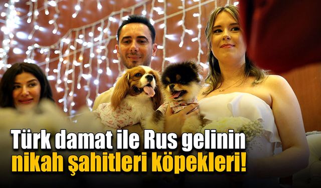 Türk damat ile Rus gelinin nikah şahitleri köpekleri!