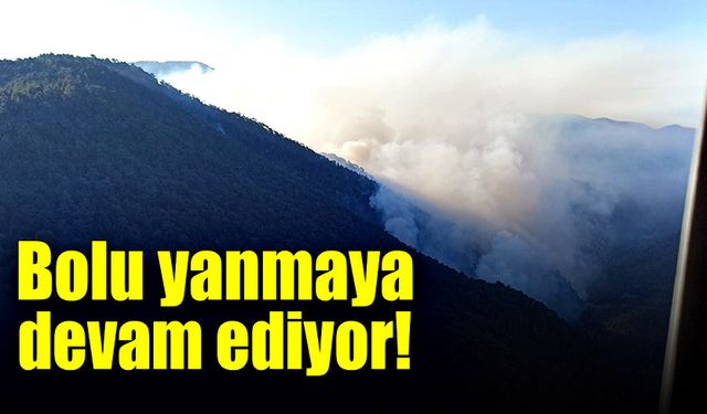 Bolu yanmaya devam ediyor!