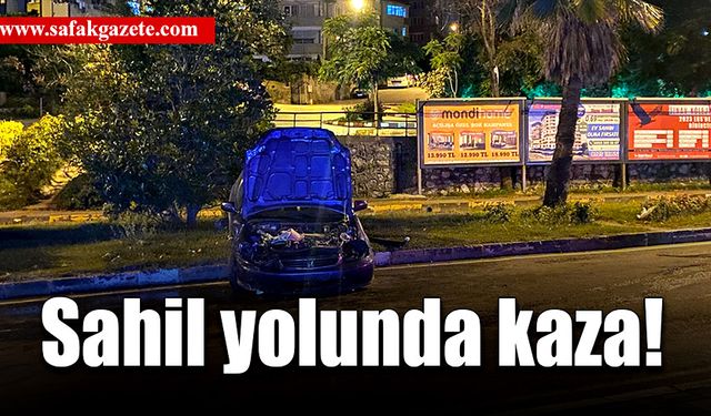 Sahil yolunda trafik kazası!