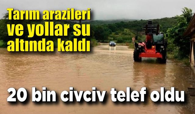 Şiddetli yağışlar o ili vurdu; Tarım arazileri ve yollar su altında kaldı