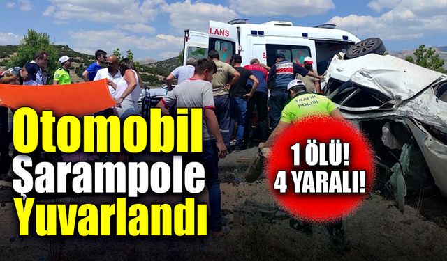 Otomobil şarampole yuvarlandı! 1 kişi hayatını kaybetti