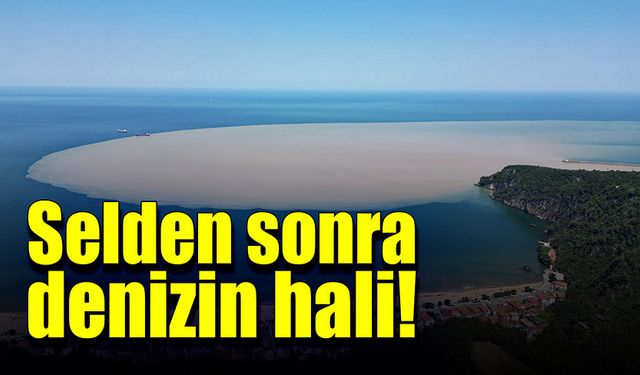 Selden sonra deniz çamur rengini aldı!