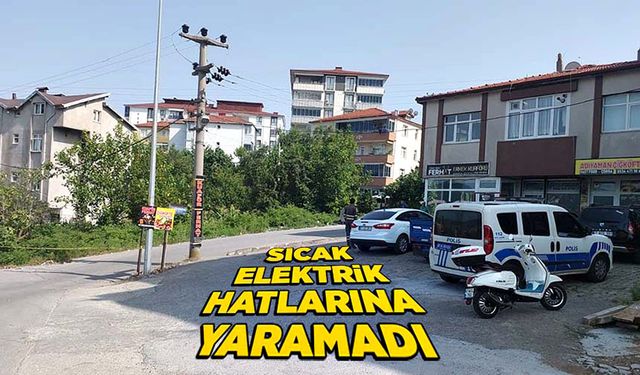 Sıcak elektrik hatlarına yaramadı!