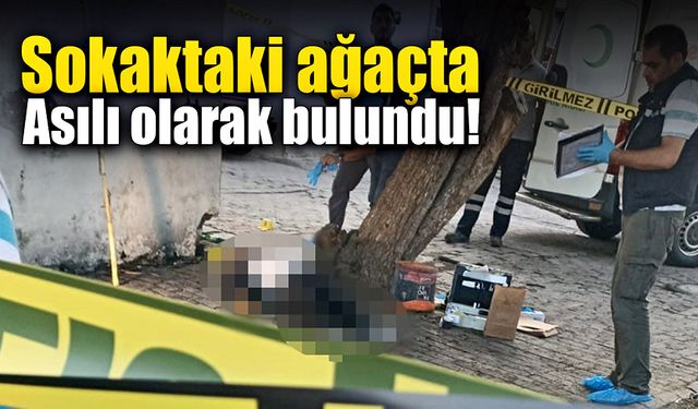 Sokaktaki ağaçta bir şahıs asılı olarak bulundu!