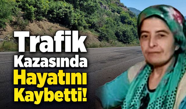 Büyükbaş hayvanlarını eve götürürken kazada öldü!