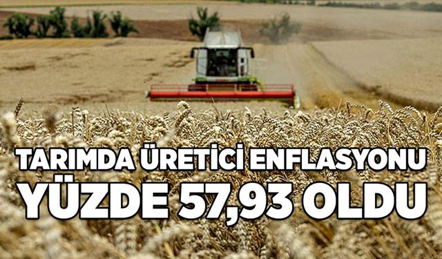 Tarımda üretici enflasyonu yüzde 57,93 oldu