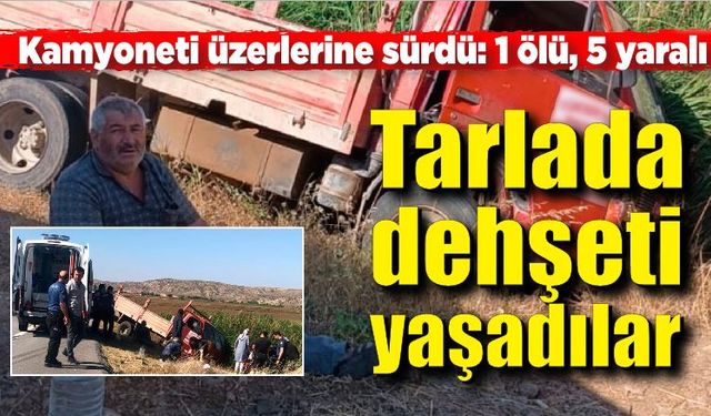 Tarlada dehşet! Kamyoneti üzerlerine sürdü