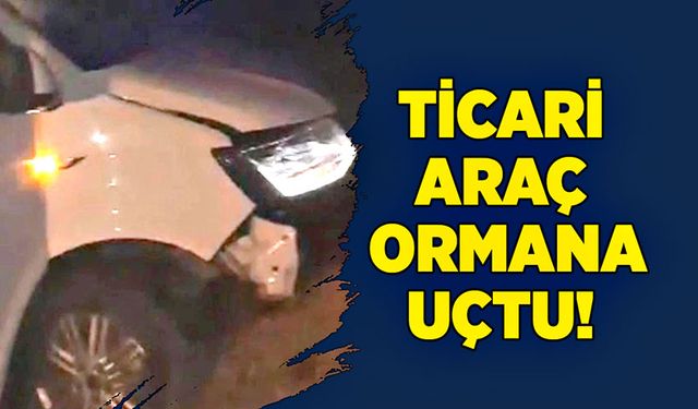 Ticari araç ormana uçtu!