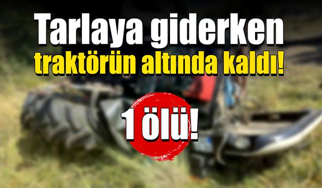 Tarlaya ot biçmeye giderken traktörün altında kaldı!