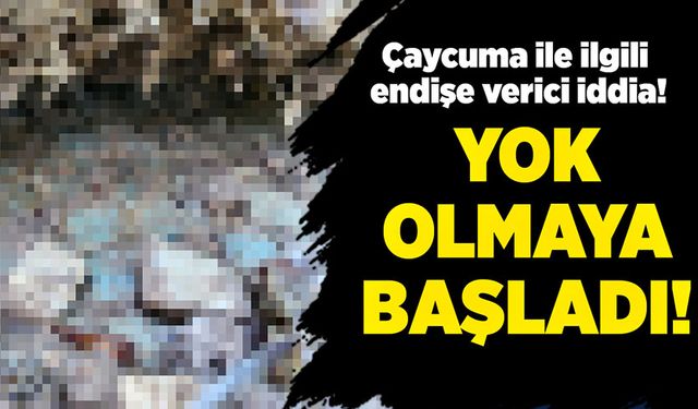 Çaycuma ile ilgili endişe verici iddia! Yok olmaya başladı!