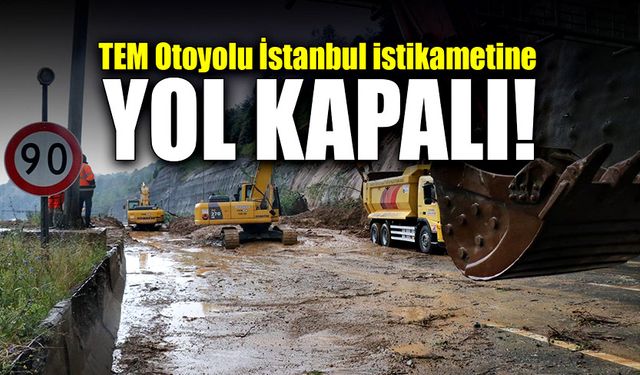 Tem Otoyolu İstanbul istikametine yol trafiğe kapalı