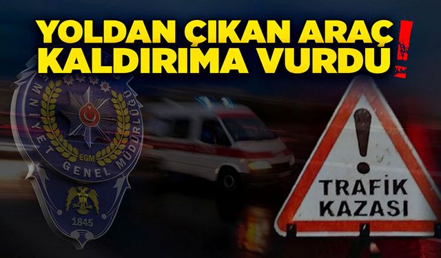 Yoldan çıkan araç, kaldırıma vurdu!