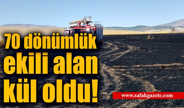 70 dönümlük ekili alan yangında kül oldu!