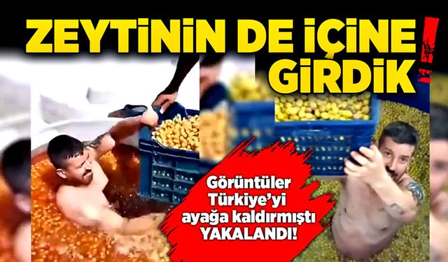 Zeytinin de içine girdik!