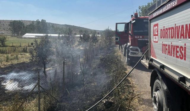 Bolu’da otluk alandaki yangın büyümeden söndürüldü