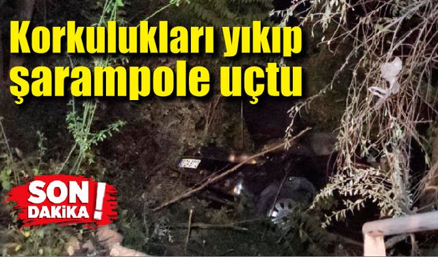 Feci kaza; korkulukları yıkıp şarampole uçtu