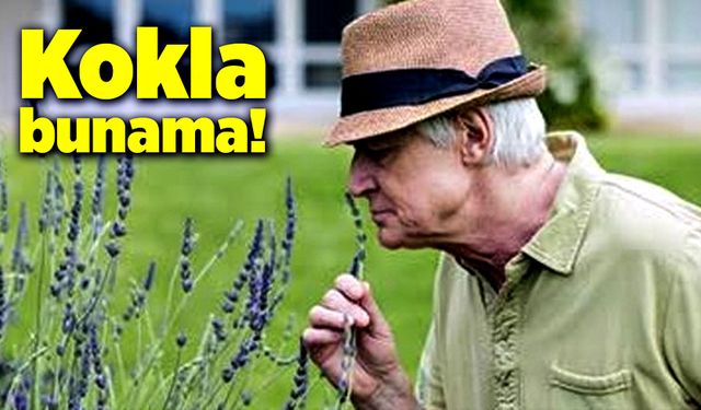 Kokla; Bunama!..