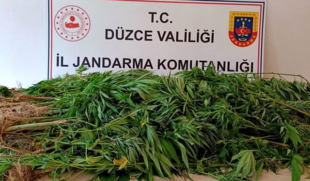 Uyuşturucu operasyonunda 9 kilo 200 gram kubar esrar ele geçirildi!