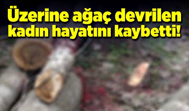 Üzerine ağaç devrilen kadın hayatını kaybetti!