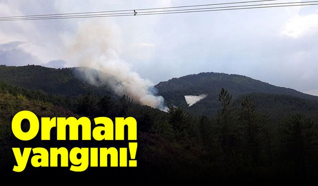 Bolu Mudurnu'da orman yangını! Ekipler seferber edildi