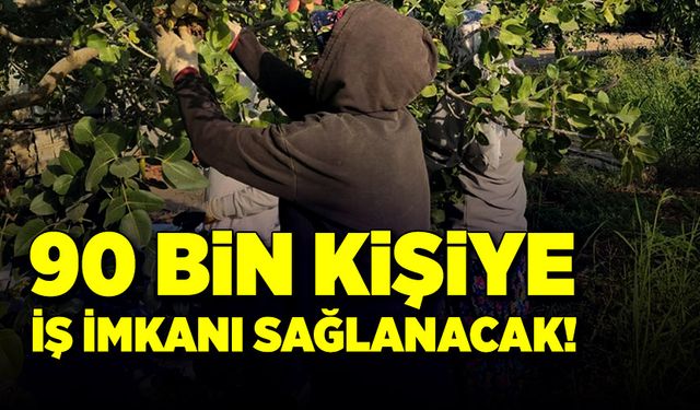 90 bin kişiye iş imkanı sağlanacak