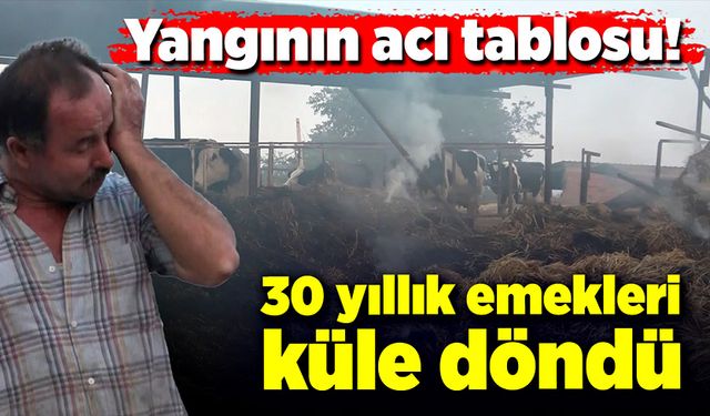 Yangının acı tablosu! 30 yıllık emekleri küle döndü!