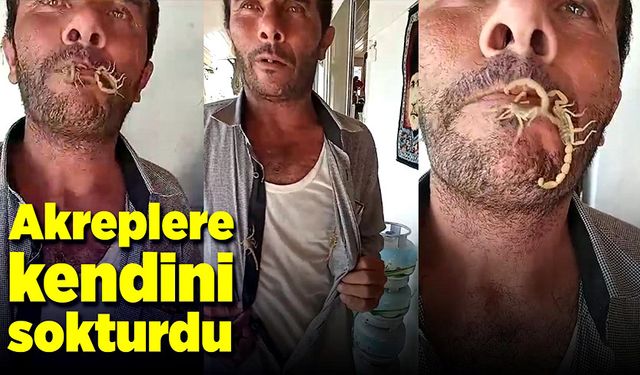 İki akrebi ağzına alıp kendini sokturdu, hayvan sevgisi dedi!