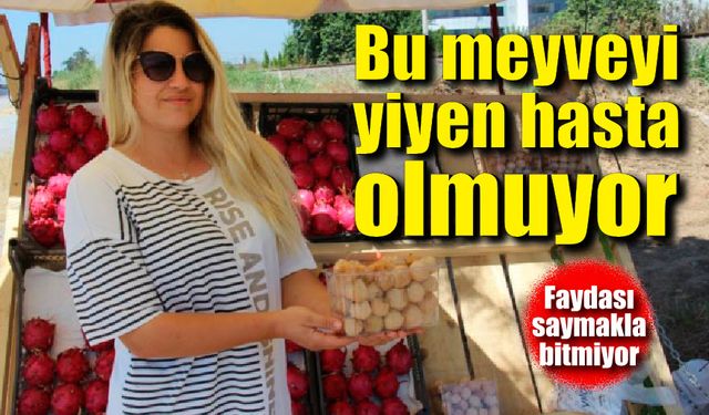 Bu meyveyi yiyen hasta olmuyor; Faydası saymakla bitmiyor