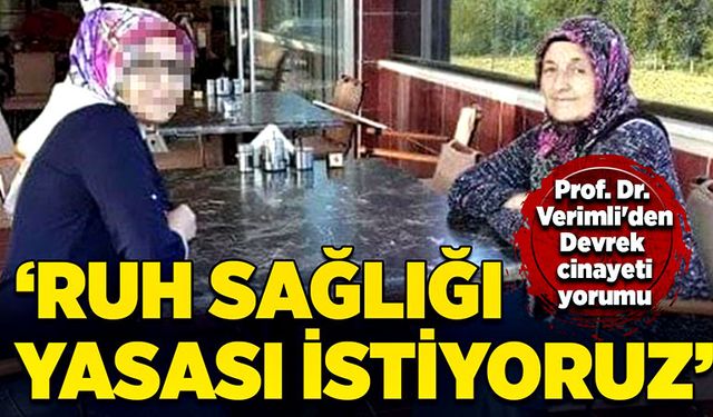 Prof. Dr. Verimli'den Devrek cinayeti yorumu: “Ruh sağlığı yasası istiyoruz”