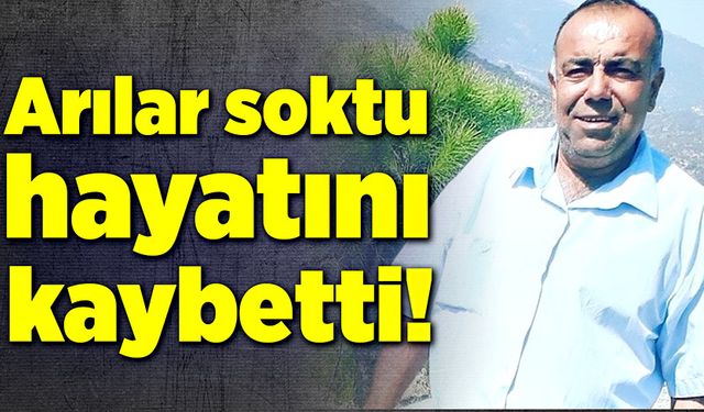 Vücudunun çeşitli yerlerinden arı soktu! Hayatını kaybetti!