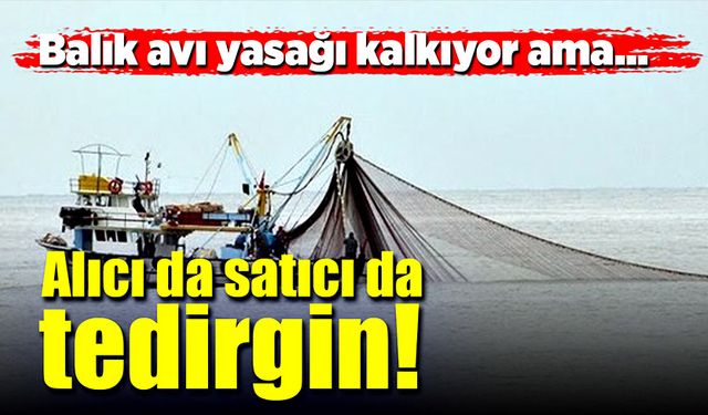 Balık avı yasağı kalkıyor ama alıcı da satıcı da tedirgin!