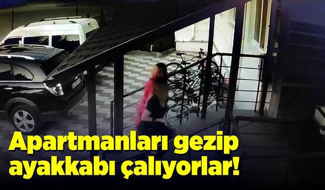 Apartmanları gezip ayakkabı çalıyorlar!