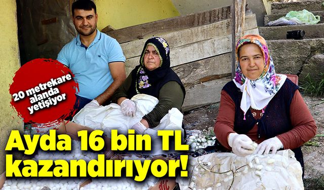 20 metrekare alanda 1 ayda 16 bin TL gelir elde ediliyor!