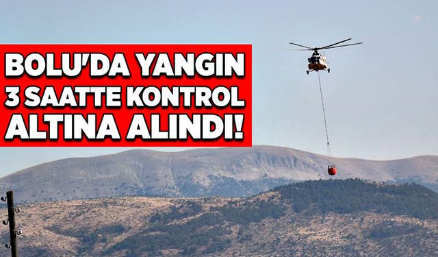 Bolu'da yangın 3 saatte kontrol altına alındı!