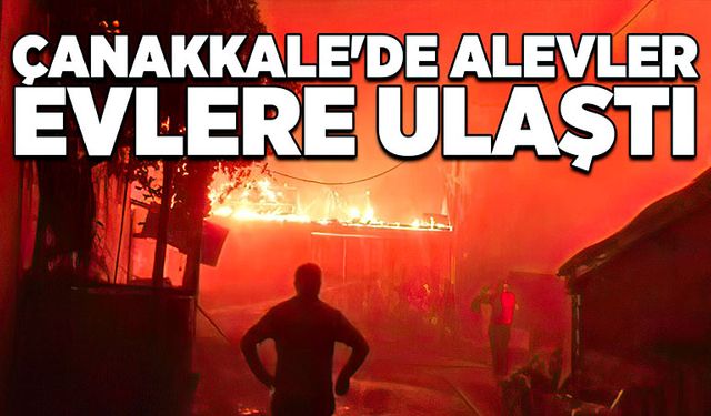 Çanakkale'de alevler evlere ulaştı!