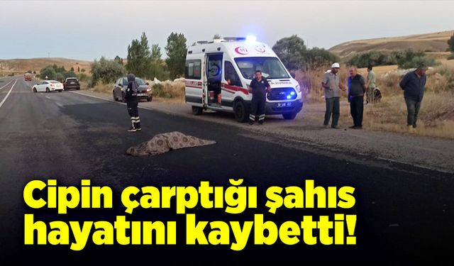 Cipin çarptığı şahıs hayatını kaybetti!