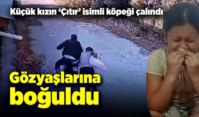 Küçük kız köpeği ‘Çıtır’ çalınınca gözyaşlarına boğuldu