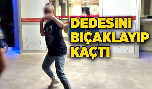 Dedesini bıçaklayıp kaçtı!